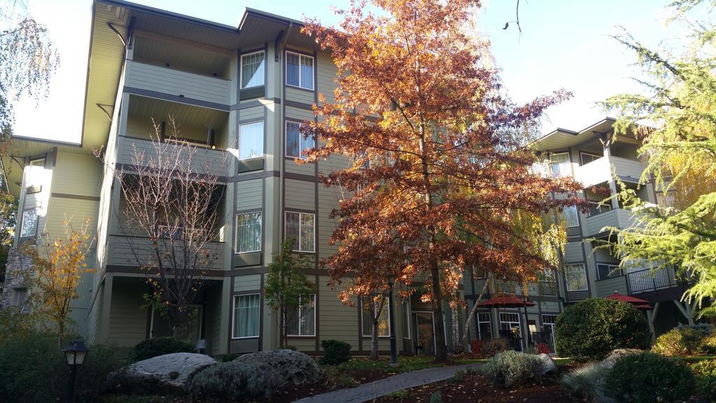 Plaza Inn & Suites At Ashland Creek Exteriör bild